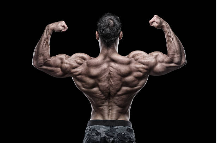 Cytomel: Prix, Utilisation et Disponibilité en Pharmacie 